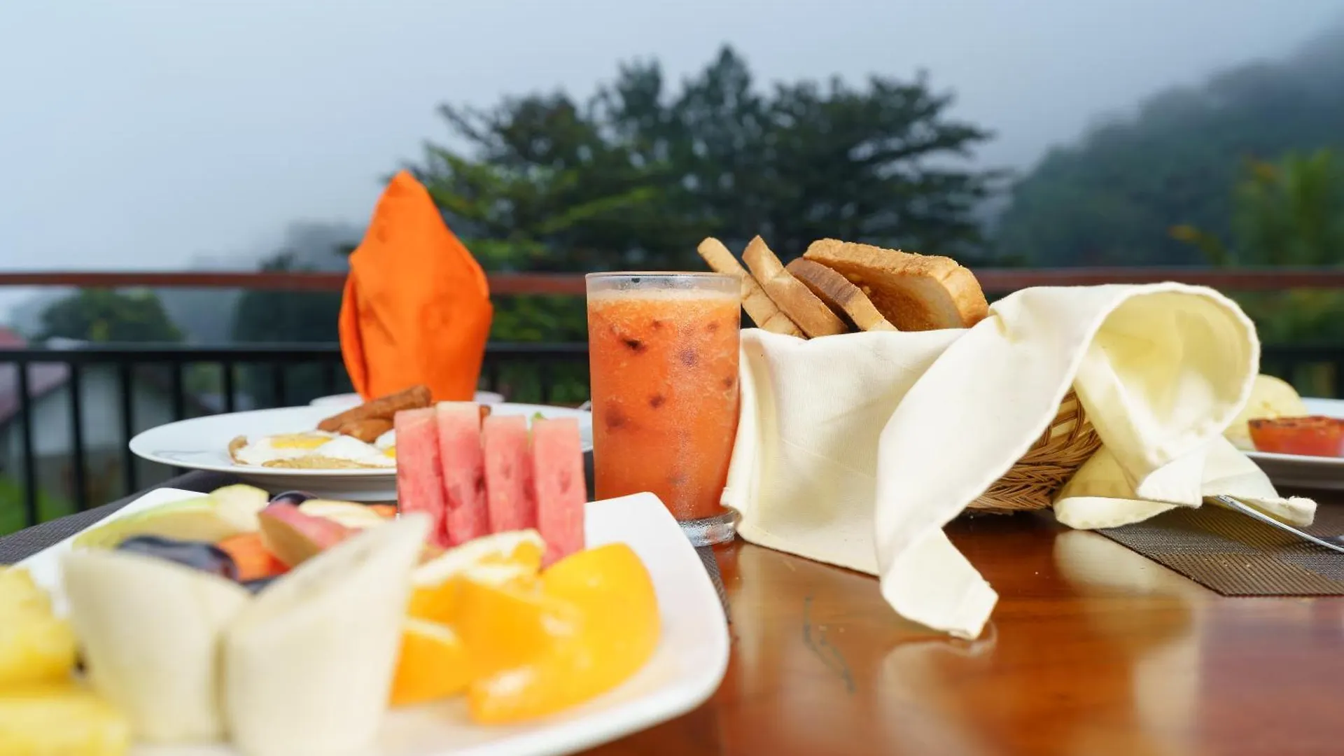 Hotel Travellers Nest Kandy